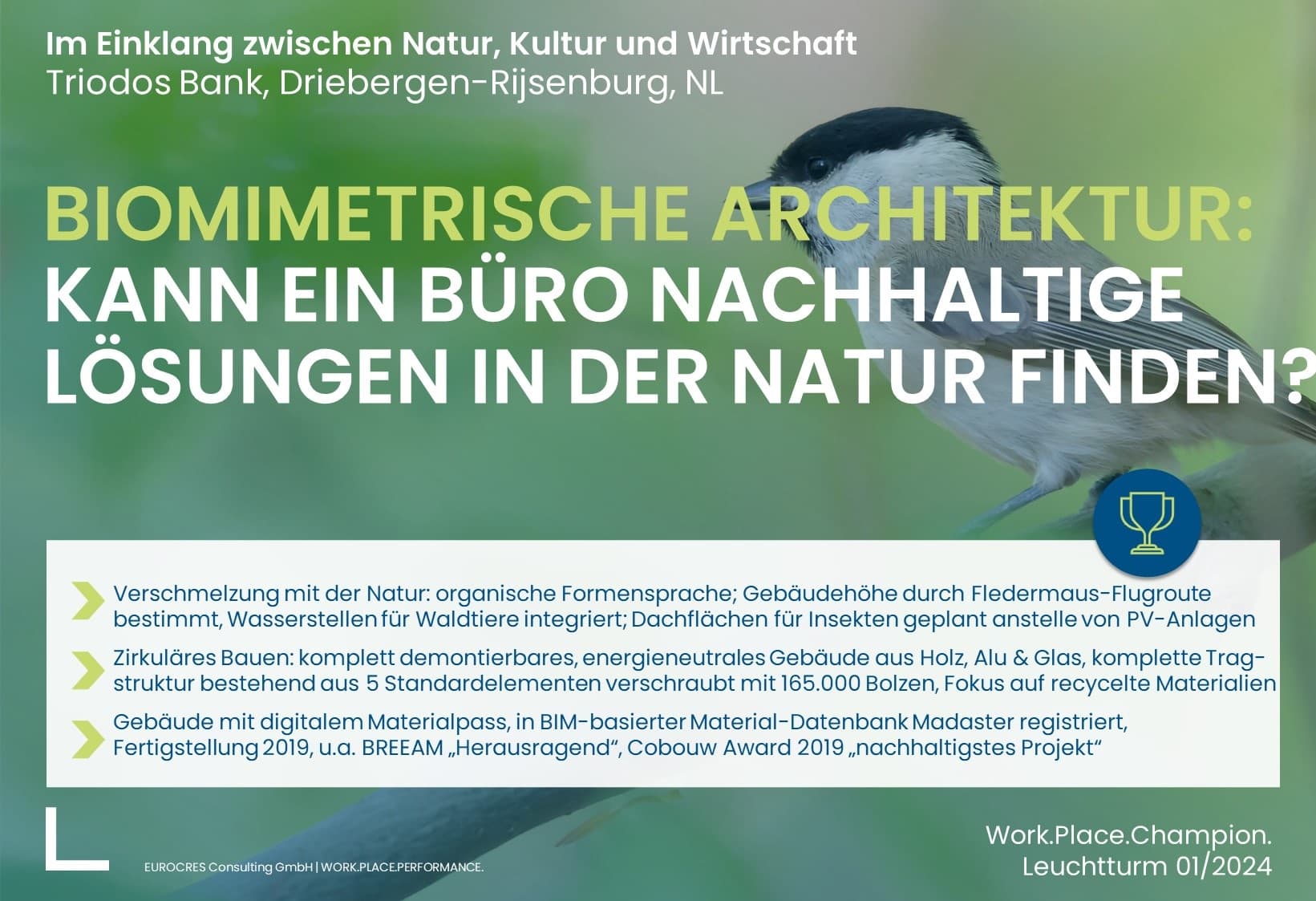 Kann ein Büro nachhaltige Lösungen in der Natur finden?